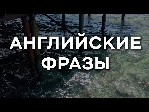 Видео: Английский для начинающих: простые и нужные фразы для старта разговорной практики.