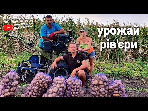 Видео: 🇺🇦Зробіть ТАК - і ВОНА буде копать!  Як допрацювать копалку до мотоблока. Сортування з рядка🇺🇦