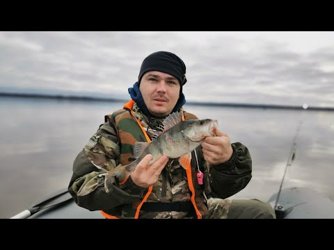 Видео: Рыбалка в Беларуси. Первая рыбалка на Освейском озере. Освея осенью. Rudra спасла от нуля уйти.