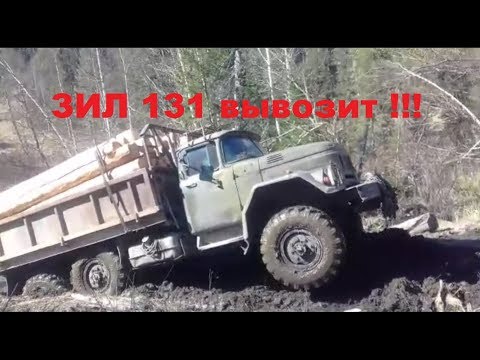Видео: зил 131 груженый по тайге, вывоз бани