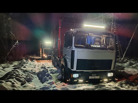 Видео: Всё как обычно. Утонул на новой делянке. #лесовоз #маз