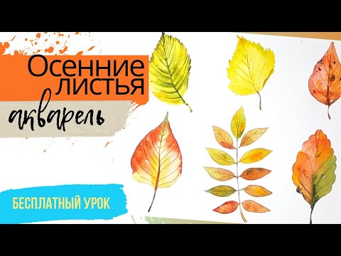 Видео: Как нарисовать осенние листья акварелью - пошаговый урок для начинающих!