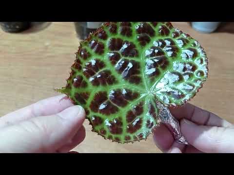 Видео: Распаковка 19.05.2023