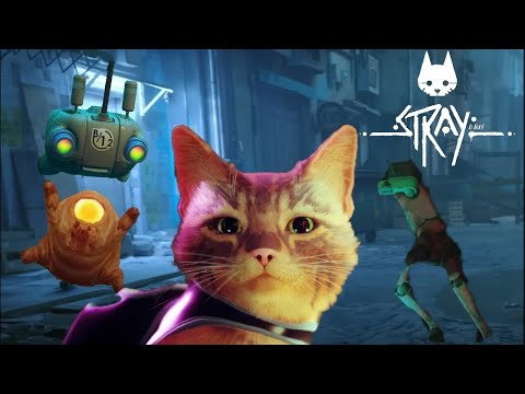 Видео: КОШКА В БУДУЩЕМ→прохождение Stray |1|