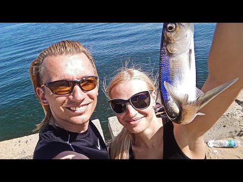 Видео: Как ловить СЕЛЁДКУ на ВОЛГЕ? Самые уловистые оснастки