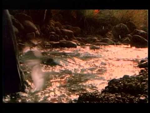 Видео: Mr.Credo "Мама Азия" [Оfficial video] 1998