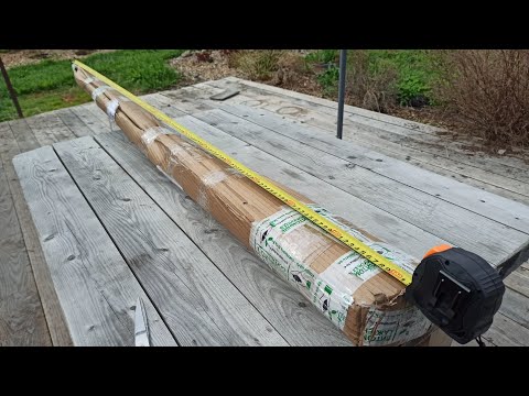 Видео: Штамбовая роза, посылка! ИМ Питомник роз!