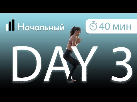 Видео: День 3. Свадхистана чакра (2 чакра).  Йога для начинающих. Полная программа. Асаны, медитация