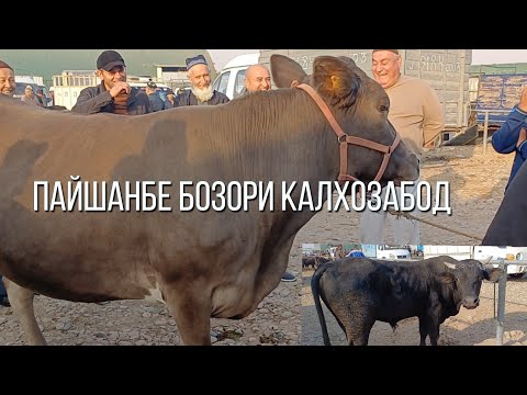 Видео: ПАЙШАНБЕ БОЗОРИ КАЛХОЗАБОД 👍 👍 