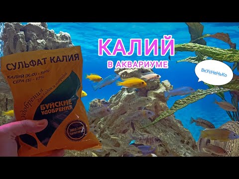 Видео: 😱😰САМОМЕС УДОБРЕНИЯ В АКВАРИУМ ФФ, КАЛИЙ😍😍😍