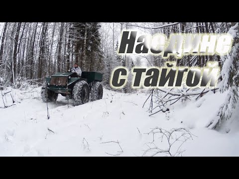 Видео: Два дня звенящей тишины/ Один в тайге/Охота на лося