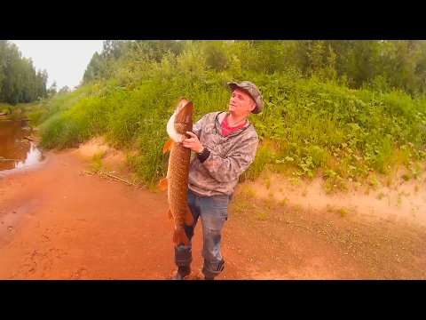 Видео: Большое Летнее Путешествие 2016. Сплав со спиннингом по р. Верхняя Лупья