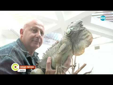 Видео: НИЩО ЛИЧНО: Докторът, който оцеля след ухапване от черна мамба