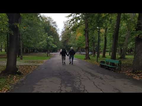 Видео: 13.10.2024 Черновцы. О ценах на недвижимость и о прогулках по улицам города