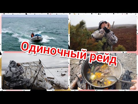 Видео: Охота на гусей. Одиночный рейд