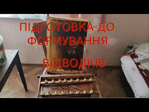 Видео: Підготовка до формування відводків