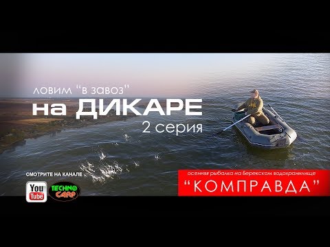 Видео: Долгожданный Карп. Меняем Тактику Ловли. Ловля на Дикаре. Часть 2