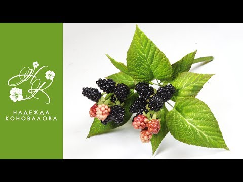 Видео: Как сделать ягоды ежевики