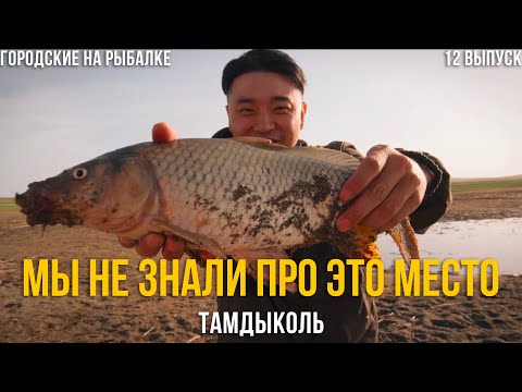 Видео: Рыбалка на карпа 2022 | Нашли коронное место! | 12 выпуск