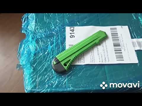 Видео: ПЕЛАРГОНИИ ОТ АНТОНИНЫ // ЭТО УЖЕ КУСТЫ!!!