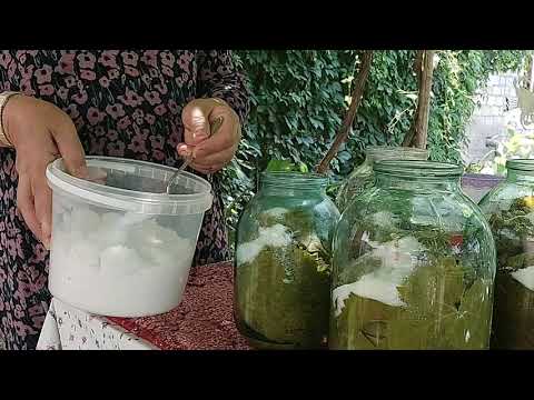 Видео: //!Как заготовить  листья Винограда  Для  Долмы//