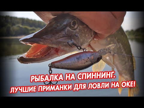 Видео: Рыбалка на спиннинг! Зачетный УЛОВ! Лучшие приманки для ловли на Оке!