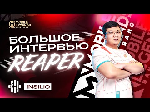 Видео: REAPER — как попасть в киберспорт, поиск тиммейтов в ВК, кик Райнера из Mad Bulls и многое другое...