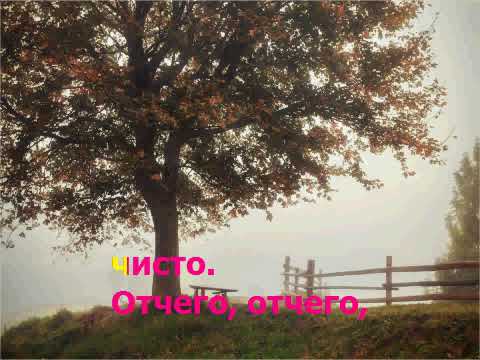 Видео: Караоке "Старый клён"