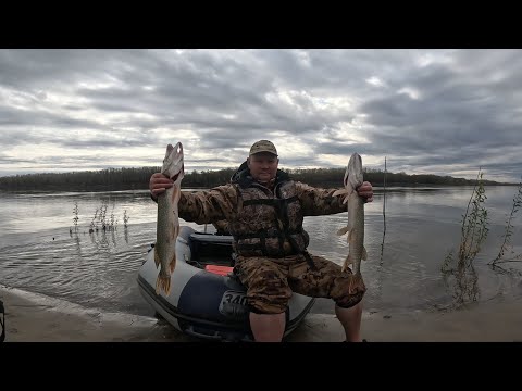 Видео: Рыбалка на реке Обь 21.09.2025 - 24.09.2025 год. 