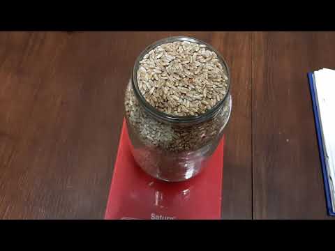 Видео: Считаем натуру пшеницы и ячменя! Надор слабее суржика, Луран слабее Онеги!?