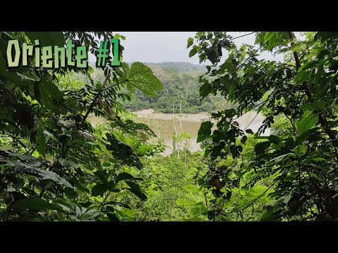 Видео: Ориенте (Амазонка) #1 - Непроходимые джунгли и Кладезь натуральных медикаментов