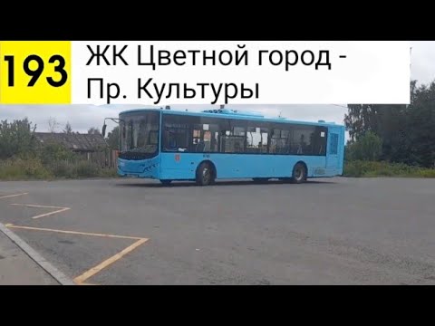 Видео: Автобус 193. ЖК "Цветной город" - Пр. Культуры