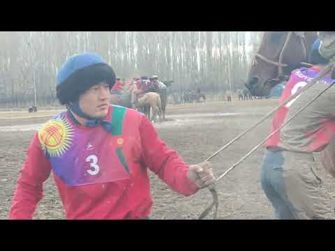 Видео: кок боору