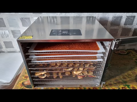 Видео: ПАСТИЛА из Яблок в Дегидраторе. Выпуск №851