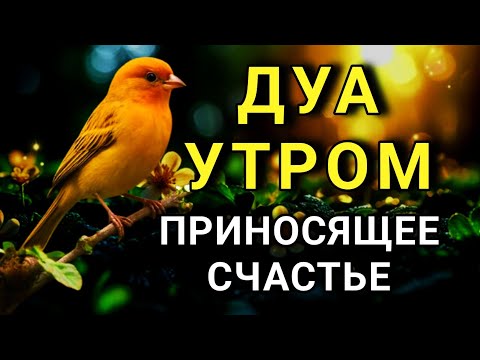 Видео: ✨ ДУА ДЛЯ ПРИВЛЕЧЕНИЯ СЧАСТЬЯ И УДАЧИ! 🤲⚡💯