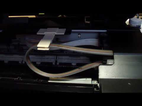 Видео: Двоится текст при печати epson. Сброс памперса.