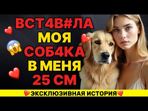 Видео: Той ночью моя собака пыталась предупредить меня о чем то важном   реальная история