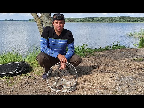 Видео: ОТЛИЧНЫЙ КЛЕВ. НА ОСКОЛ ЗА ЛЕЩЕМ И СОМОМ. РЫБАЛКА НА ОСКОЛЕ. ЛОВЛЯ ОКУНЯ НА ВЫПОЛЗКА.