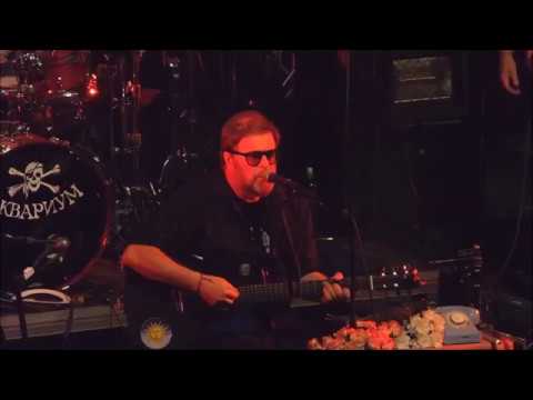 Видео: Борис Борисович. Саратов. 2018. Мама я не могу больше пить