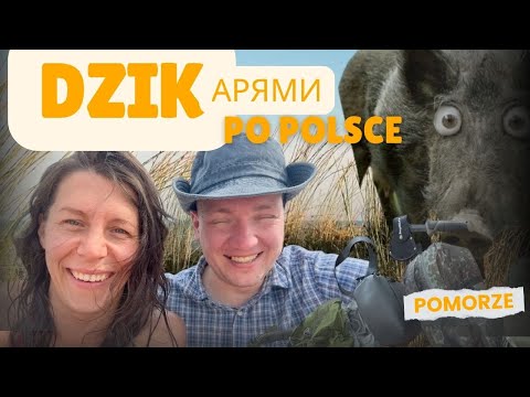 Видео: Wild Camping Across Poland. 🇵🇱 Дикарями по Польше