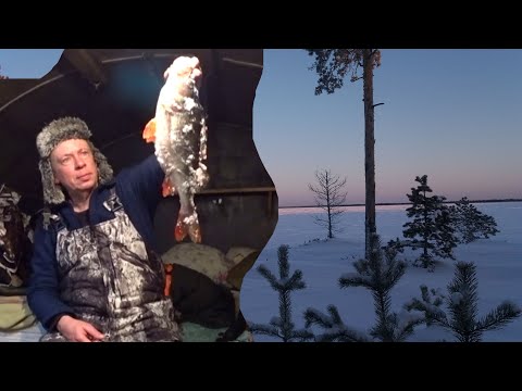 Видео: Рыбалка на болотах.  Закрытие сезона.
