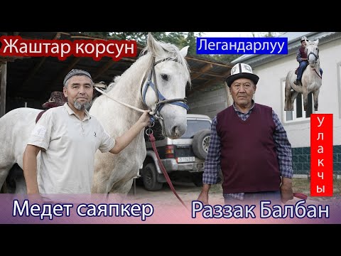 Видео: Медет саяпкер менен РАЗЗАК Балбандын маеги 👍🏻👍🏻