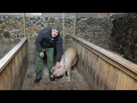 Видео: Мы Снова Переезжаем