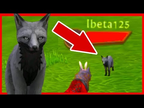 Видео: ВЫЗЫВАЕМ Ibeta125 в WILDCRAFT