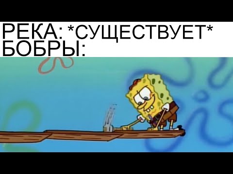 Видео: Дневная подборка мемов 777