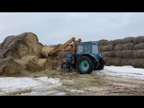 Видео: КФХ Уладаев