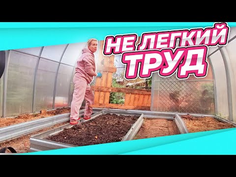 Видео: СИЛЬНО ЗАМОРОЧИЛИСЬ | ДВОЕ В ОГОРОДЕ | ПОДГОТОВКА ТЕПЛИЦЫ К ЗИМЕ