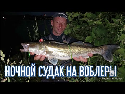 Видео: Ночной судак на воблеры. Теория трех забросов.