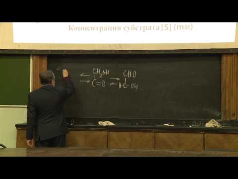 Видео: Асеев В. В. - Основы биохимии - 12. Ферменты