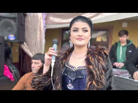 Видео: Саидаи Зарифи 2023